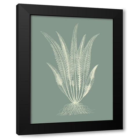 Ferns on Sage IV Black Modern Wood Framed Art Print with Double Matting by Vision Studio
