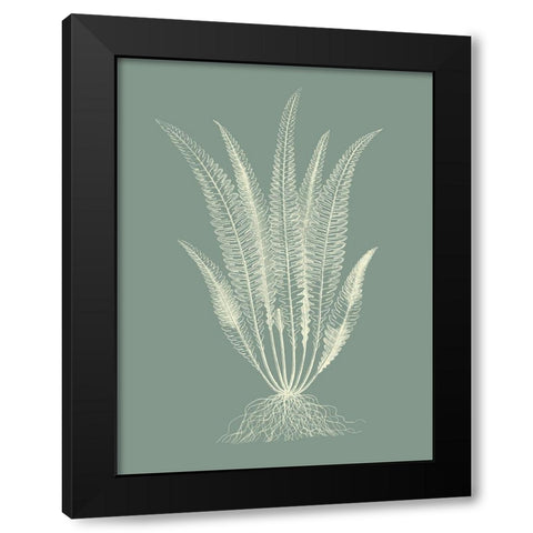 Ferns on Sage IV Black Modern Wood Framed Art Print by Vision Studio