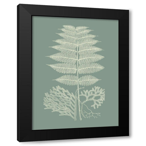Ferns on Sage V Black Modern Wood Framed Art Print with Double Matting by Vision Studio
