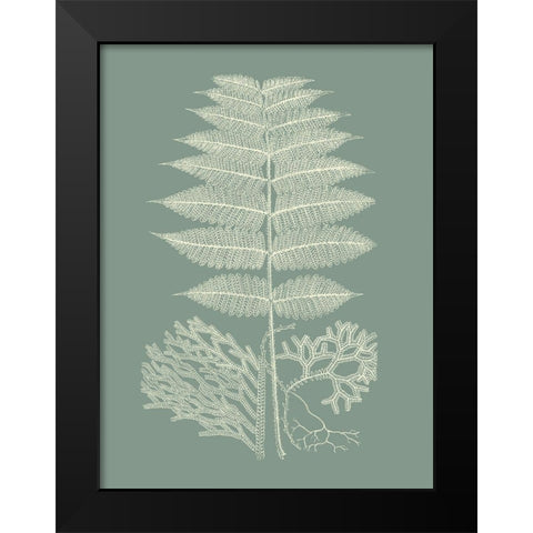 Ferns on Sage V Black Modern Wood Framed Art Print by Vision Studio