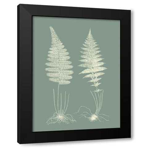 Ferns on Sage VI Black Modern Wood Framed Art Print with Double Matting by Vision Studio