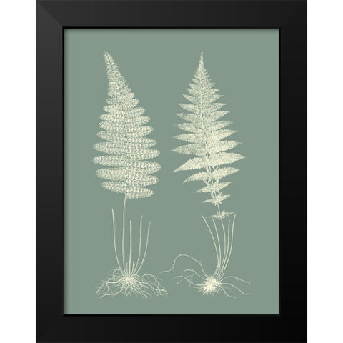 Ferns on Sage VI Black Modern Wood Framed Art Print by Vision Studio