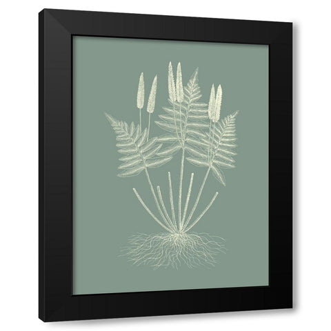 Ferns on Sage VII Black Modern Wood Framed Art Print with Double Matting by Vision Studio