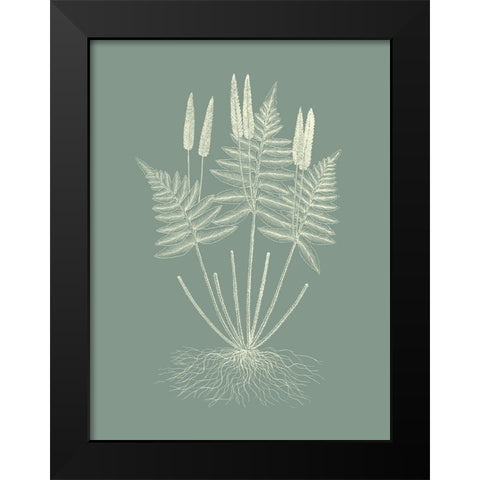 Ferns on Sage VII Black Modern Wood Framed Art Print by Vision Studio