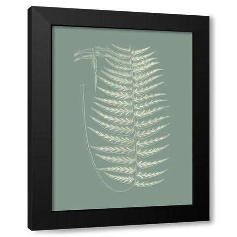 Ferns on Sage VIII Black Modern Wood Framed Art Print with Double Matting by Vision Studio