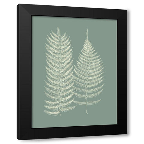 Ferns on Sage IX Black Modern Wood Framed Art Print with Double Matting by Vision Studio