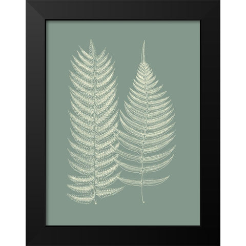 Ferns on Sage IX Black Modern Wood Framed Art Print by Vision Studio