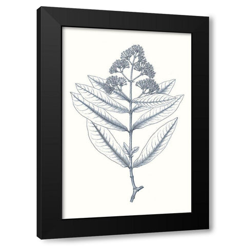 Indigo Botany Study I Black Modern Wood Framed Art Print with Double Matting by Vision Studio