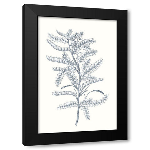 Indigo Botany Study II Black Modern Wood Framed Art Print with Double Matting by Vision Studio