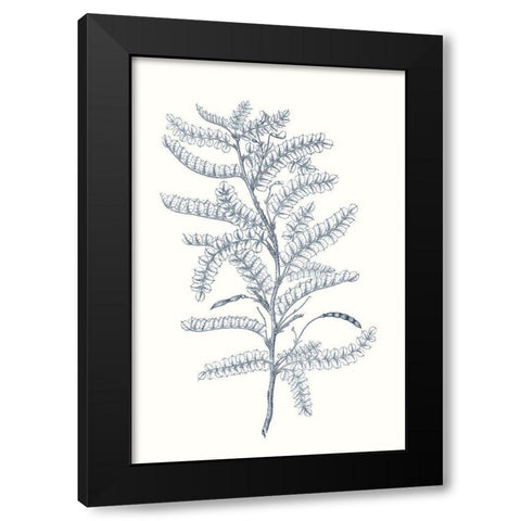 Indigo Botany Study II Black Modern Wood Framed Art Print by Vision Studio