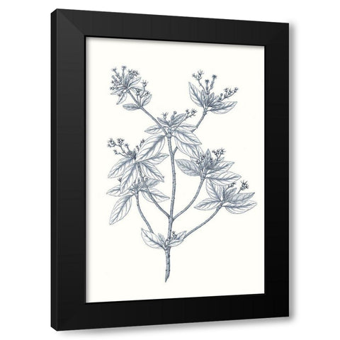 Indigo Botany Study III Black Modern Wood Framed Art Print with Double Matting by Vision Studio