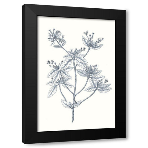 Indigo Botany Study III Black Modern Wood Framed Art Print by Vision Studio