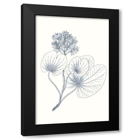 Indigo Botany Study IV Black Modern Wood Framed Art Print with Double Matting by Vision Studio