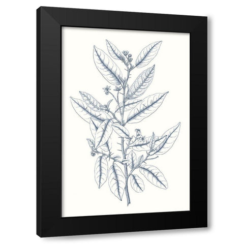 Indigo Botany Study V Black Modern Wood Framed Art Print with Double Matting by Vision Studio