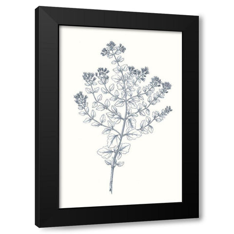 Indigo Botany Study VI Black Modern Wood Framed Art Print with Double Matting by Vision Studio