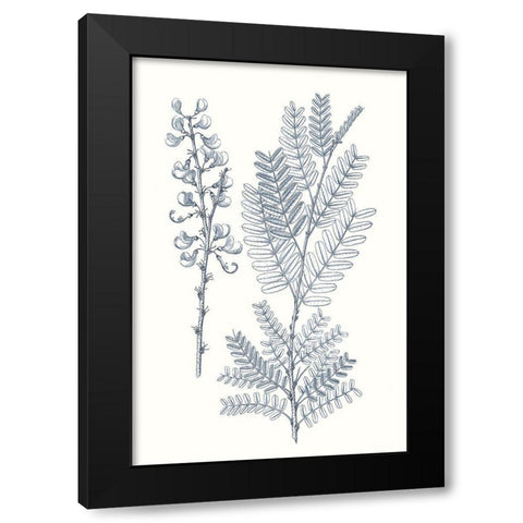 Indigo Botany Study VII Black Modern Wood Framed Art Print by Vision Studio