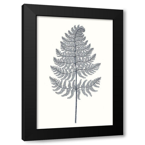 Indigo Botany Study VIII Black Modern Wood Framed Art Print with Double Matting by Vision Studio