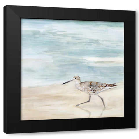 Speckled Willet II Black Modern Wood Framed Art Print with Double Matting by Borges, Victoria