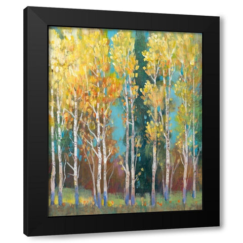 Aspen Grove I Black Modern Wood Framed Art Print with Double Matting by OToole, Tim