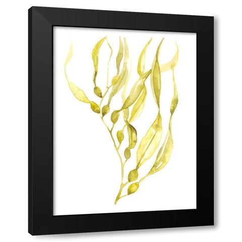 Olive Sea Kelp I Black Modern Wood Framed Art Print by Goldberger, Jennifer