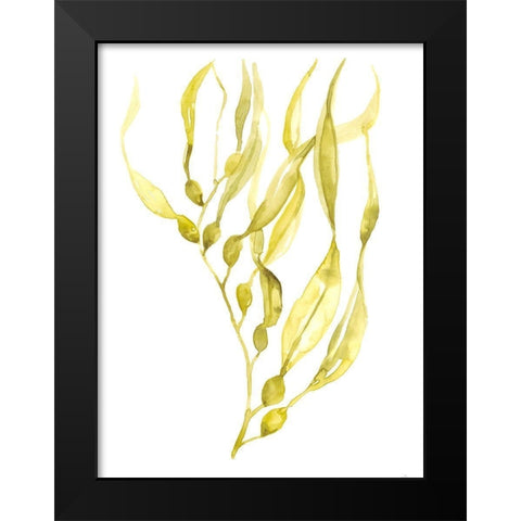 Olive Sea Kelp I Black Modern Wood Framed Art Print by Goldberger, Jennifer