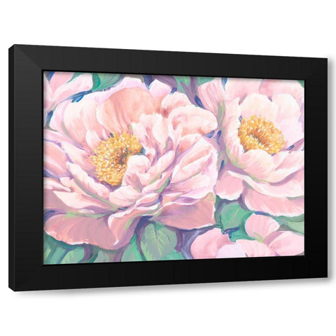 Peonies in Bloom II Black Modern Wood Framed Art Print with Double Matting by OToole, Tim