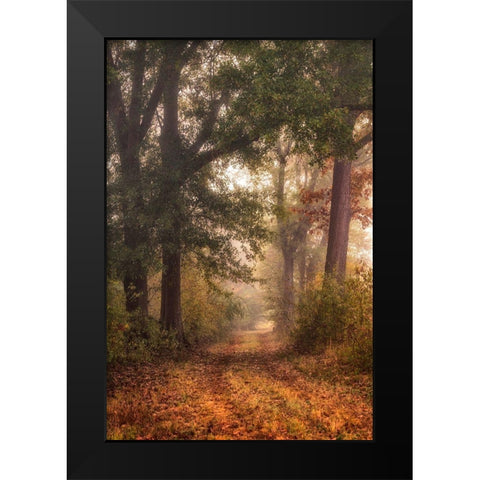 Autumns Walk I Black Modern Wood Framed Art Print by Head, Danny