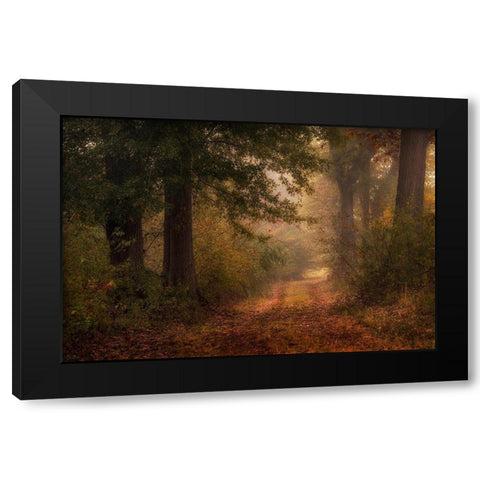 Autumns Walk III Black Modern Wood Framed Art Print by Head, Danny