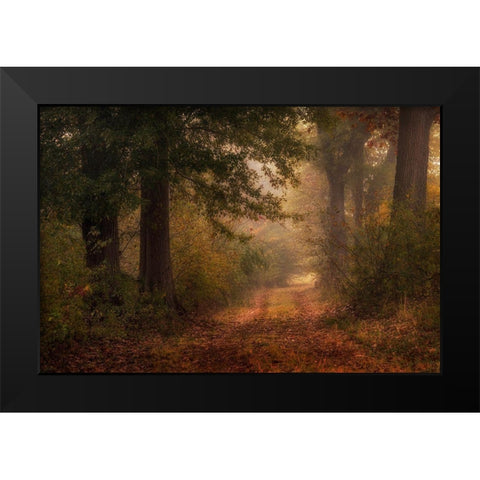 Autumns Walk III Black Modern Wood Framed Art Print by Head, Danny