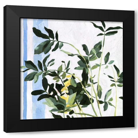 Indoor Plant I Black Modern Wood Framed Art Print with Double Matting by Scarvey, Emma