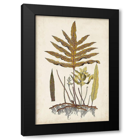 Fern Botanical I Black Modern Wood Framed Art Print by Vision Studio