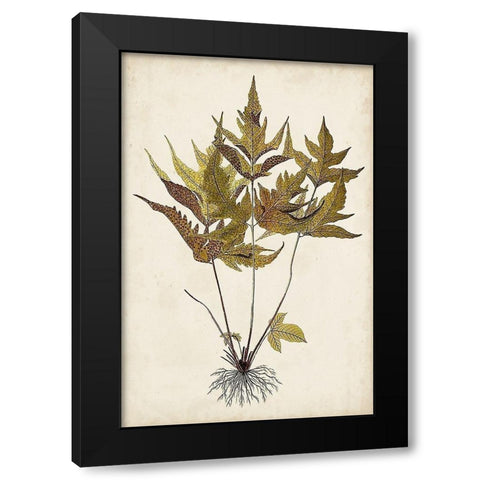 Fern Botanical II Black Modern Wood Framed Art Print with Double Matting by Vision Studio