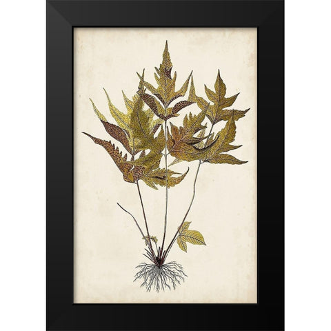 Fern Botanical II Black Modern Wood Framed Art Print by Vision Studio