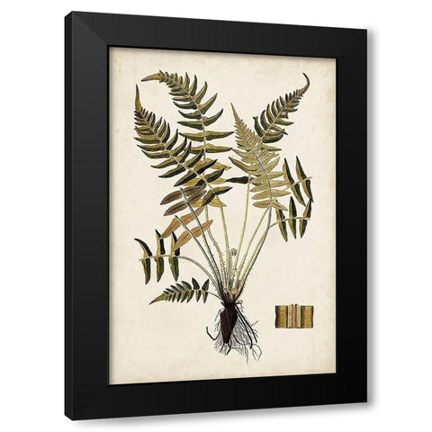 Fern Botanical IV Black Modern Wood Framed Art Print with Double Matting by Vision Studio
