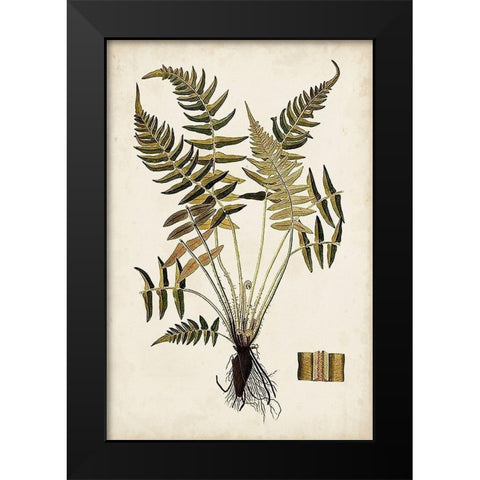 Fern Botanical IV Black Modern Wood Framed Art Print by Vision Studio