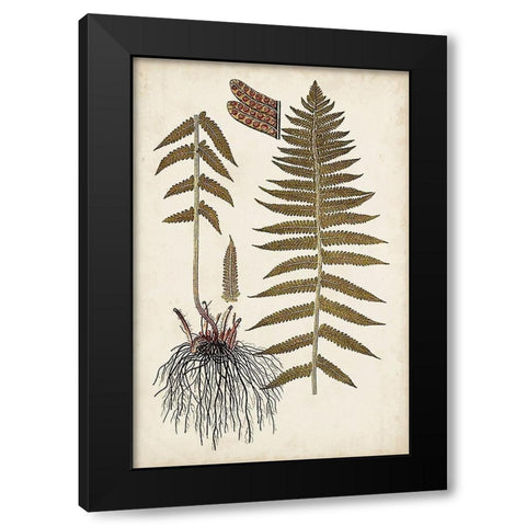 Fern Botanical V Black Modern Wood Framed Art Print by Vision Studio