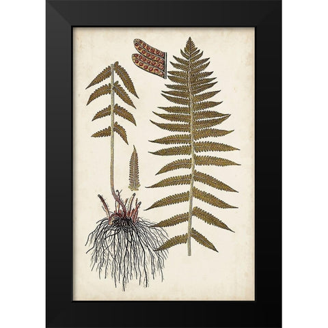 Fern Botanical V Black Modern Wood Framed Art Print by Vision Studio