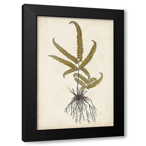 Fern Botanical VI Black Modern Wood Framed Art Print with Double Matting by Vision Studio