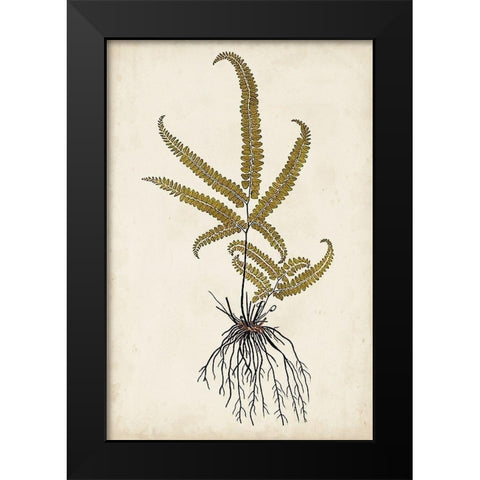 Fern Botanical VI Black Modern Wood Framed Art Print by Vision Studio