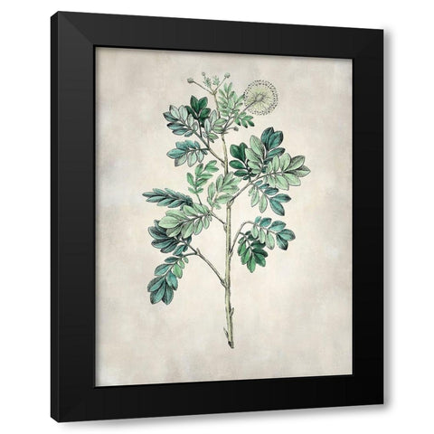 Acacia Tree I Black Modern Wood Framed Art Print with Double Matting by Vision Studio