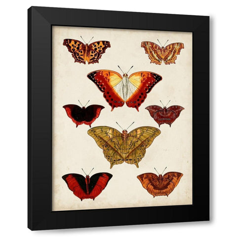 Butterflies Displayed I Black Modern Wood Framed Art Print with Double Matting by Vision Studio