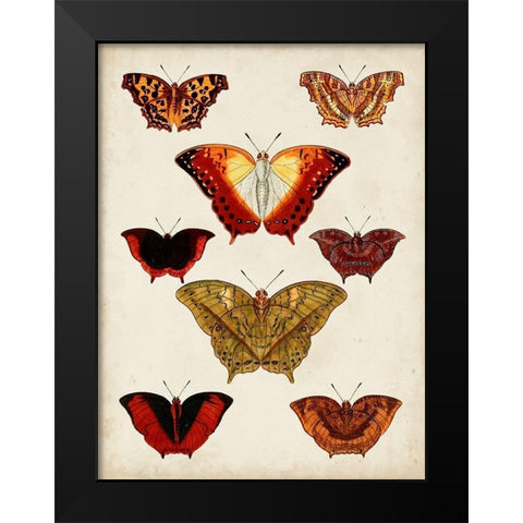 Butterflies Displayed I Black Modern Wood Framed Art Print by Vision Studio