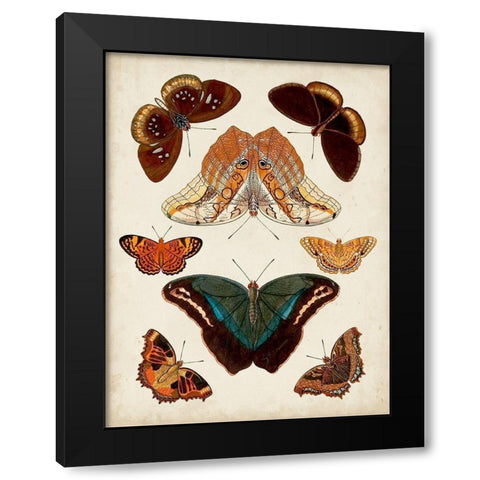 Butterflies Displayed II Black Modern Wood Framed Art Print by Vision Studio