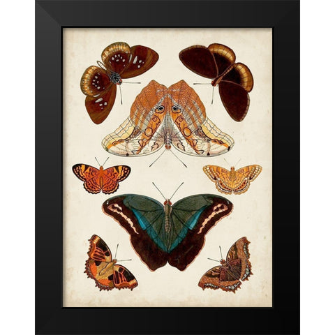 Butterflies Displayed II Black Modern Wood Framed Art Print by Vision Studio