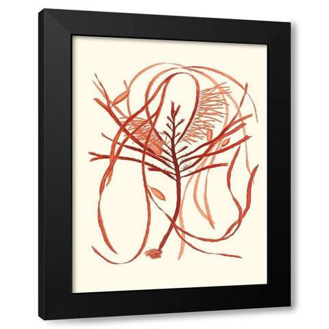 Coral Seaweed I Black Modern Wood Framed Art Print with Double Matting by Vision Studio
