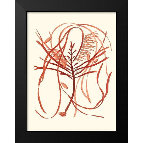 Coral Seaweed I Black Modern Wood Framed Art Print by Vision Studio