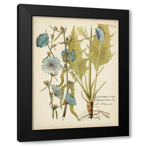 Eloquent Botanical I Black Modern Wood Framed Art Print with Double Matting by Vision Studio