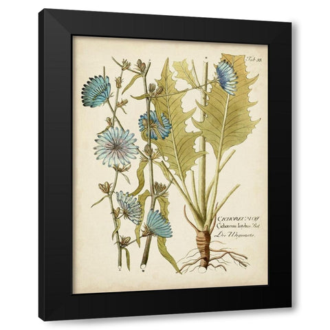 Eloquent Botanical I Black Modern Wood Framed Art Print by Vision Studio