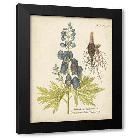 Eloquent Botanical II Black Modern Wood Framed Art Print by Vision Studio