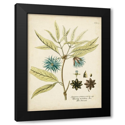 Eloquent Botanical III Black Modern Wood Framed Art Print with Double Matting by Vision Studio